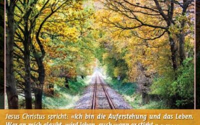 Neu: Postkarte Motiv 031